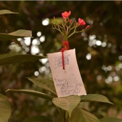 MasjidFatehpuri-0155